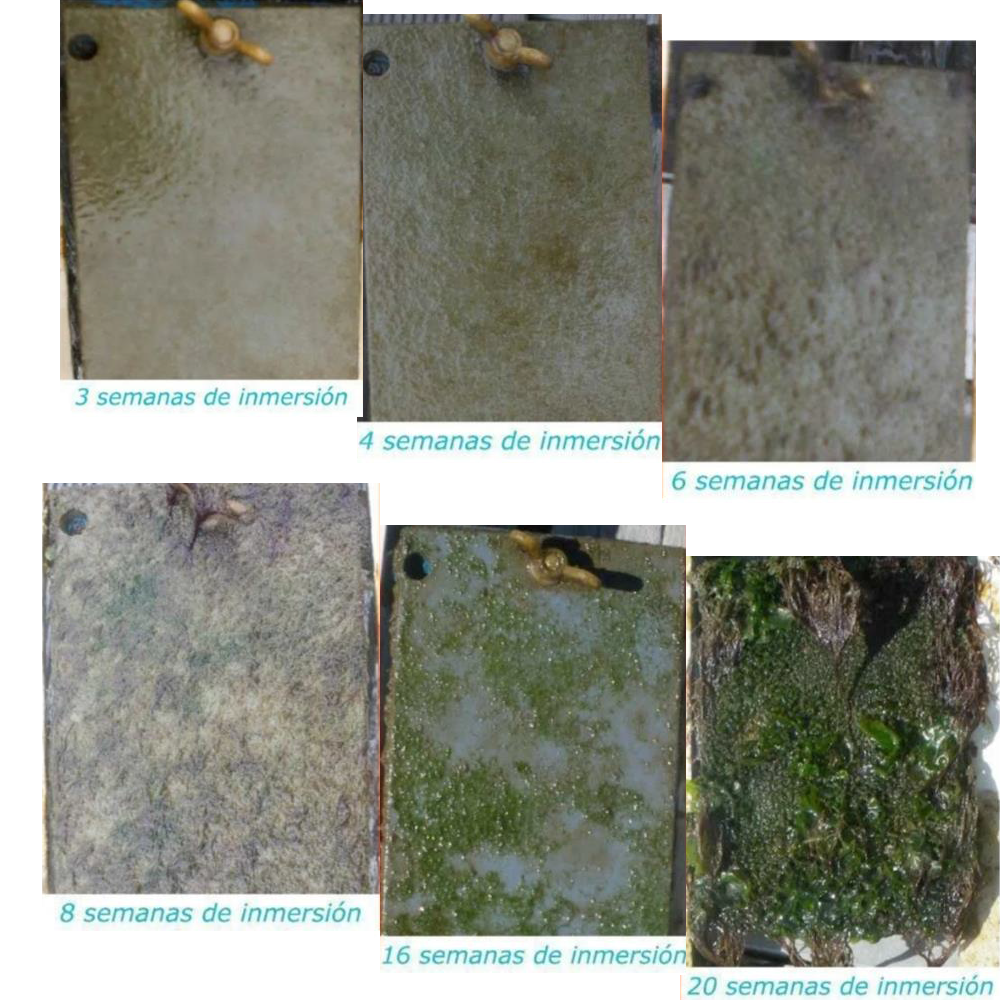 Feature Images
